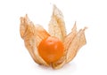 Ripe Physalis Royalty Free Stock Photo