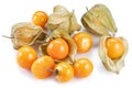 Ripe physalis or golden berry fruits in calyx isolated on white background