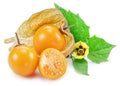 Ripe physalis or golden berry fruits with leaves and flower isolated on white background Royalty Free Stock Photo