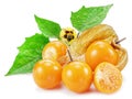 Ripe physalis or golden berry fruits with leaves and flower isolated on white background Royalty Free Stock Photo