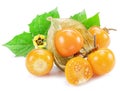 Ripe physalis or golden berry fruits with leaves and flower isolated on white background Royalty Free Stock Photo