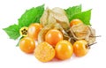 Ripe physalis or golden berry fruits with leaves and flower isolated on white background Royalty Free Stock Photo