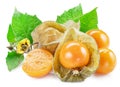 Ripe physalis or golden berry fruits with leaves and flower isolated on white background