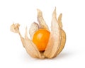 Ripe physalis Royalty Free Stock Photo