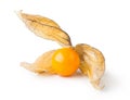 Ripe physalis Royalty Free Stock Photo