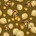 Ripe physalis. Seamless pattern with berries.