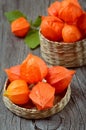 Ripe physalis (Solanaceae) in basket Royalty Free Stock Photo