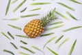 Ripe Pineaple and Pineapple Leaves Fruit Background Top View Flat Lay Horizontal Royalty Free Stock Photo