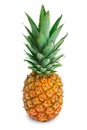 Ripe pineapple Royalty Free Stock Photo