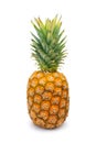 Ripe pineapple Royalty Free Stock Photo