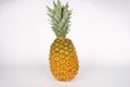Ripe pineapple (Ananas) Royalty Free Stock Photo