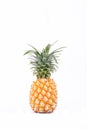 Ripe pineapple Ananas comosus on white background healthy pineapple fruit food isolated