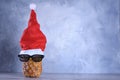 Ripe pineapple, ananas with glasess in Santa`s hat. New Year fruit concept