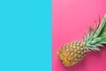 Ripe Pineapple with Bushy Green Leaves on Split Duotone Pink Blue Background. Summer Vacation Travel Tropical Fruits Vitamins Royalty Free Stock Photo
