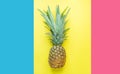 Ripe Pineapple with Bushy Green Leaves on Split Triple Tone Pink Blue Yellow Background. Summer Vacation Travel Tropical Fruits Royalty Free Stock Photo