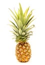 Ripe Pineapple Closeup Royalty Free Stock Photo
