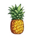 Ripe pineapple, fresh and juicy tropical refreshment