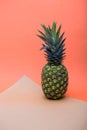 Ripe pineapple fruit on a colored background Royalty Free Stock Photo