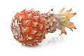 Ripe pineapple fruit with green leaves isolated Royalty Free Stock Photo