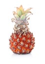 Ripe pineapple fruit with green leaves isolated Royalty Free Stock Photo