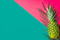 Ripe pineapple on green palm leaf on duotone fuchsia pink turquoise background. Trendy funky style vivid colors. Summer vacation