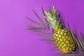 Ripe pineapple on green palm leaf on vibrant violet purple solid background. Trendy funky style neon colors. Summer vacation