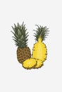 Ripe pineapple illustration. Pineapple fruit in different arrangements. Pineapple cut in pieces. Food poster