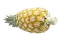 Ripe pineapple isolated