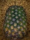 Ripe Pineapple fruit with a distinct background texture