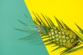 Ripe pineapple on palm leaf on duotone yellow green background. Trendy funky style. Summer vacation tropical fruits beach party