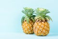 Fresh pineapple on pastel color background Royalty Free Stock Photo