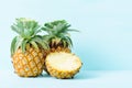 Fresh pineapple on pastel color background Royalty Free Stock Photo