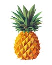 Ripe pineapple slice, fresh from tropical forest Royalty Free Stock Photo