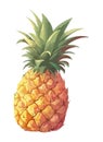 Ripe pineapple slice, symbol of healthy refreshment
