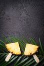 Ripe Pineapple slices on a black background Royalty Free Stock Photo