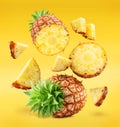 Ripe pineapple and pineapple slices isolated on white background. File contains clipping path Royalty Free Stock Photo