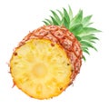 Ripe pineapple and pineapple slices isolated on white background. File contains clipping path