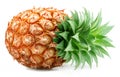 Ripe pineapple and pineapple slices isolated on white background. File contains clipping path Royalty Free Stock Photo
