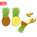 Ripe pineapple with slices isolated on white background. Vector illustration for decorative poster, emblem natural product, farmer Royalty Free Stock Photo