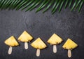 Ripe Pineapple slices on sticks on a black background Royalty Free Stock Photo