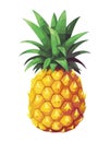 Ripe pineapple symbolizes healthy tropical refreshment snack