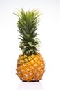 Ripe pineapple yellow color