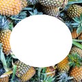 Ripe pineapples fruits. Bright tropical background. There is free space for text Royalty Free Stock Photo