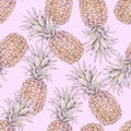 Ripe pineapples are isolated on pink background. Watercolor colourful illustration. Handwork exotic summer draw. Seamless pattern