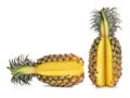 Ripe pineapples Royalty Free Stock Photo