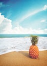 Ripe pineapples on the sandy tropical beach with clear blue sky. Royalty Free Stock Photo