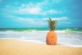 Ripe pineapples on the sandy tropical beach with clear blue sky. Royalty Free Stock Photo