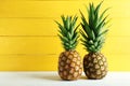 Ripe pineapples Royalty Free Stock Photo