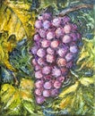 Ripe Pinot Grigio Grape Painting