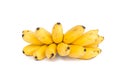 Ripe Pisang Mas banana